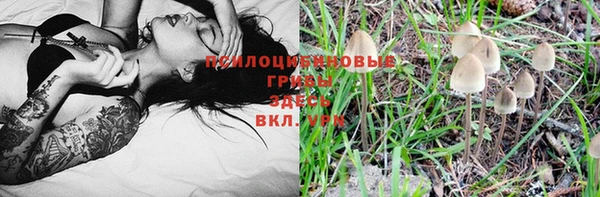 твердый Баксан
