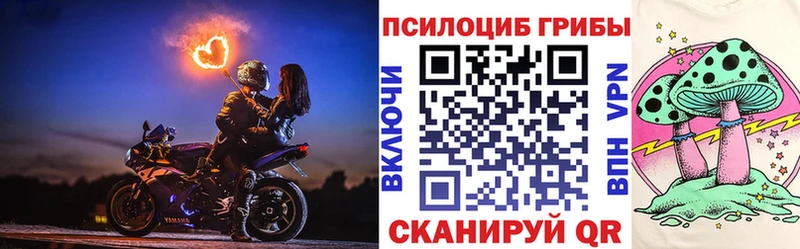 Купить закладки  Омутнинск  Псилоцибиновые грибы MAGIC MUSHROOMS 
